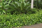 Koorawathaplanting-garden-and-landscape-design-45.jpg; ?>